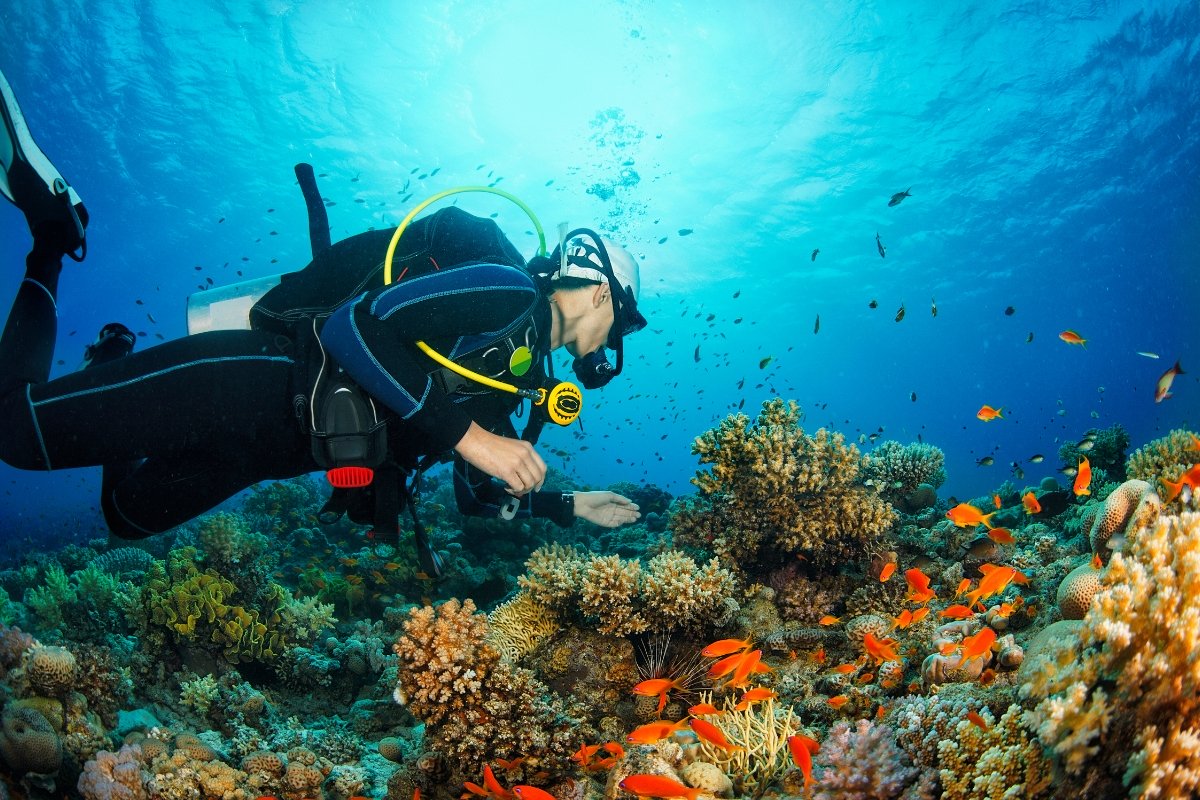 Scuba Diving + Water Sports Day Trip